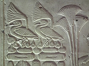 In Seti I's Temple, Abydos.