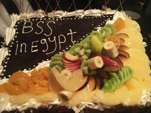 BSS in Egypt cake